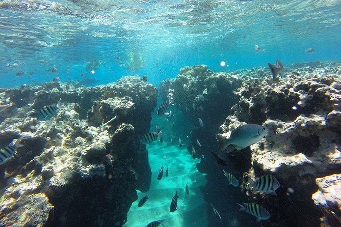 Puerto Plata Shore Excursion, Snorkeling tour & Sosua Beach Day - Stop 1: From Puerto Plata Province to Sosúa Bay