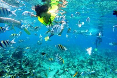 Puerto Plata Shore Excursion, Snorkeling tour & Sosua Beach Day - The Meeting Point Near Sosúa Beach: Where You’ll Start