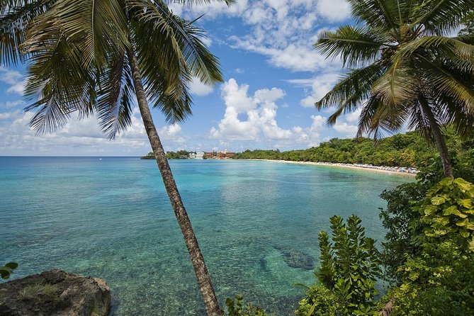 Puerto Plata Shore Excursion, Snorkeling tour & Sosua Beach Day - Two Reef Stops in Sosúa Bay: The Actual Snorkeling Experience