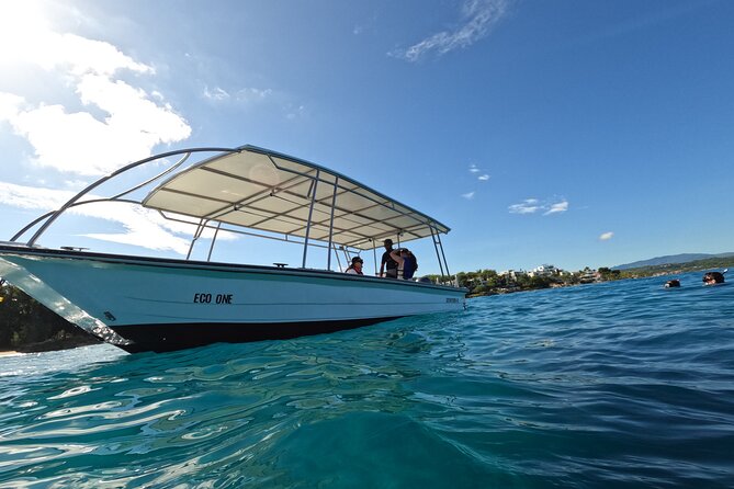 Puerto Plata Shore Excursion, Snorkeling tour & Sosua Beach Day - Boat Time: Small Speed Boat, Real Access, and a Few Logistics Thoughts