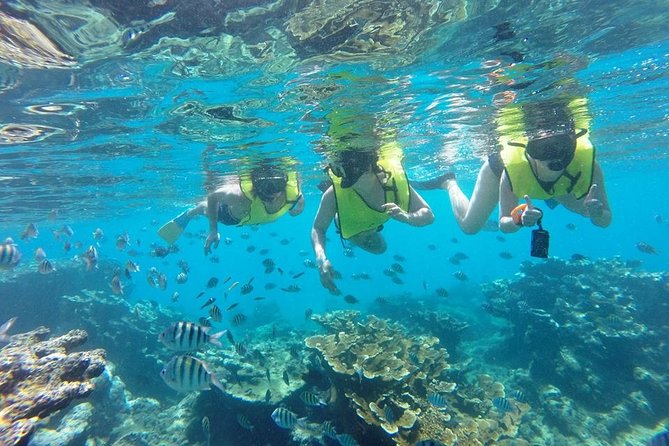 Puerto Plata Shore Excursion, Snorkeling tour & Sosua Beach Day - Sosúa Beach Day: Sun Chairs, Swimming, and People-Watching