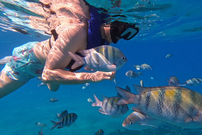 Puerto Plata Shore Excursion, Snorkeling tour & Sosua Beach Day - Guides and Staff: Names You Might Hear and Why It Matters