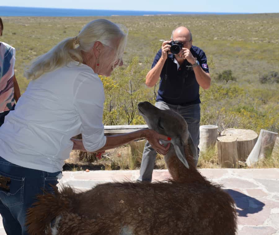 Punta Loma + Ranch Shore Excursion for cruise passengers - Punta Loma and San Guillermo: A Smart Cruise Pairing