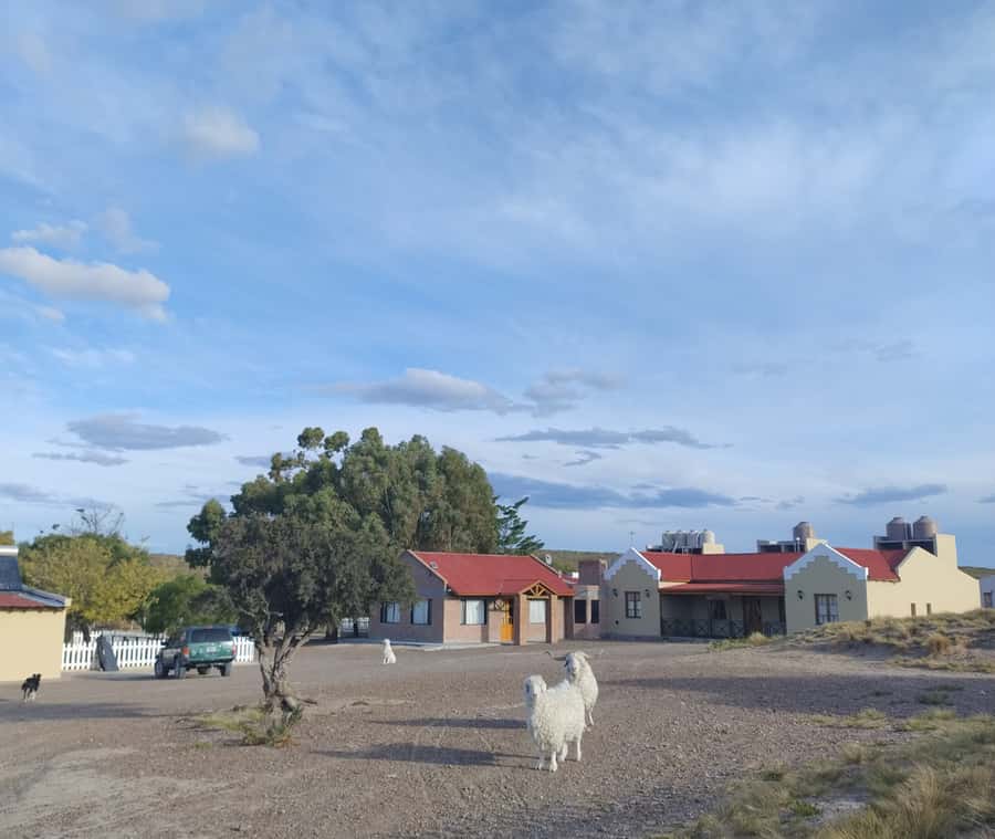 Punta Loma + Ranch Shore Excursion for cruise passengers - The Van Ride to the Ranch: Why the Timing Works