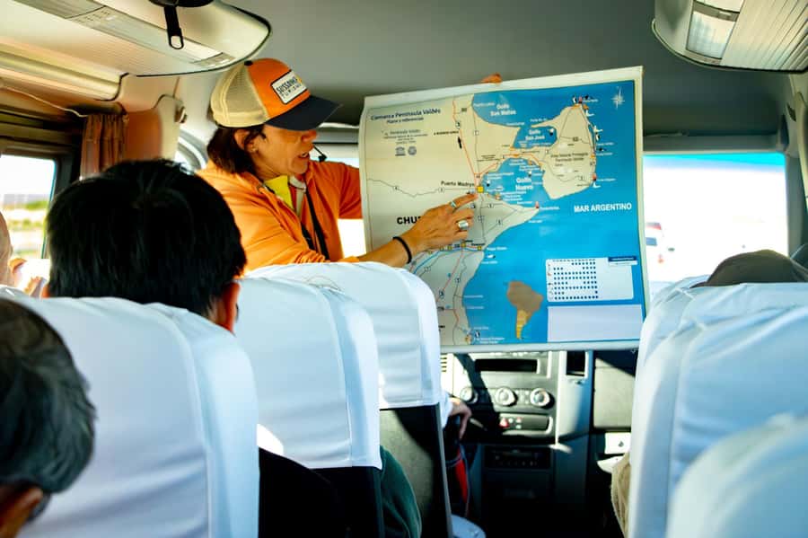 Punta Tombo Shore Excursion for Cruise Passengers + City - Driving time and timing gaps: why you might feel both rushed and lucky