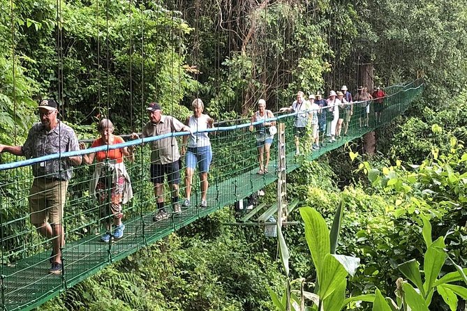 Puntarenas Shore Excursion: Rainforest Skywalk & Tarcoles River - Cruise-day logistics: where you meet and how the day stays on track