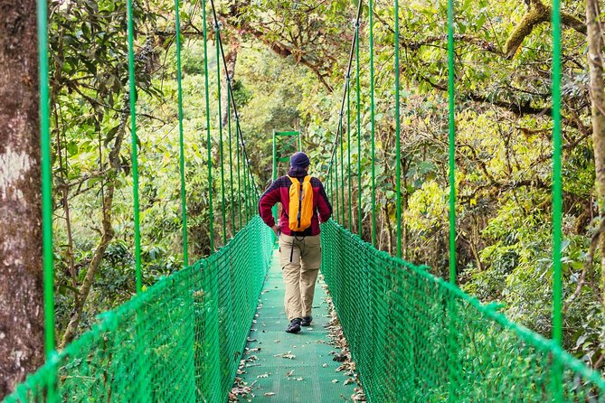 Puntarenas Shore Excursion: Rainforest Skywalk & Tarcoles River - Carara’s two-ecosystem setting: why this reserve feels different