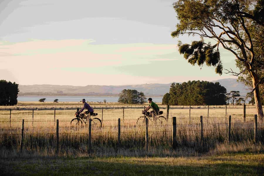 Remutaka Rail Trail eBike Shore Excursion for Cruise Ships - From 151 Aotea Quay to Kaitoke: the shuttle plan that protects your time