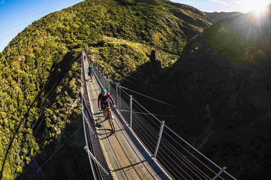 Remutaka Rail Trail eBike Shore Excursion for Cruise Ships - Effort level and weather: what 28 km really means on an eBike