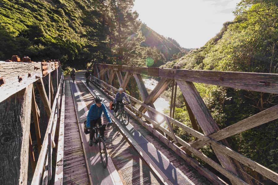Remutaka Rail Trail eBike Shore Excursion for Cruise Ships - The human touch: who’s usually running the show
