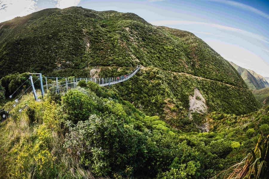 Remutaka Rail Trail eBike Shore Excursion for Cruise Ships - eBike setup done right: step-thru or mountain-style frames