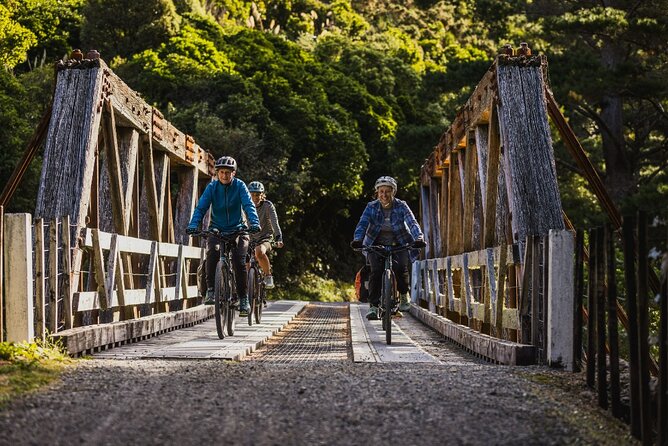 Remutaka Rail Trail Explorer - eBike Cruise Ship Shore Excursion - Key things to know before you go