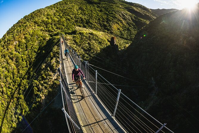 Remutaka Rail Trail Explorer - eBike Cruise Ship Shore Excursion - Pickup, the ride to the trailhead, and how to avoid stress