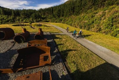 Remutaka Rail Trail Explorer - eBike Cruise Ship Shore Excursion - Price and value for a Wellington port pickup day