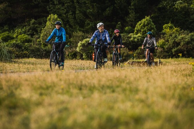 Remutaka Rail Trail Explorer - eBike Cruise Ship Shore Excursion - Midday flow: where your energy goes and why the lunch break matters