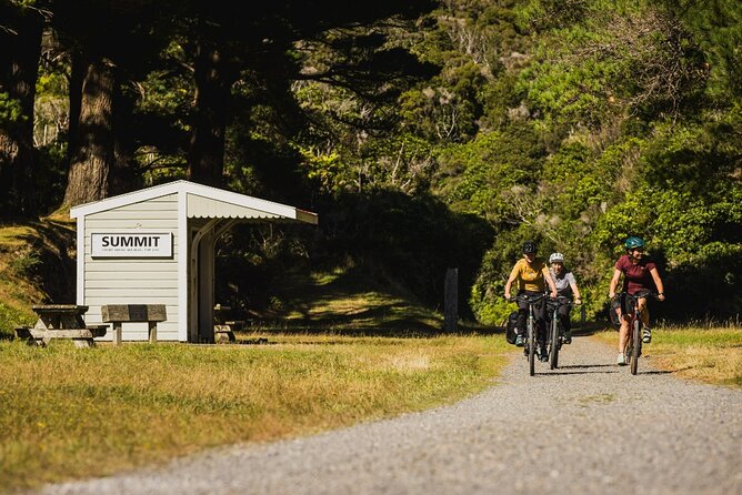 Remutaka Rail Trail Explorer - eBike Cruise Ship Shore Excursion - Getting the most out of the e-bike (and not fighting it)