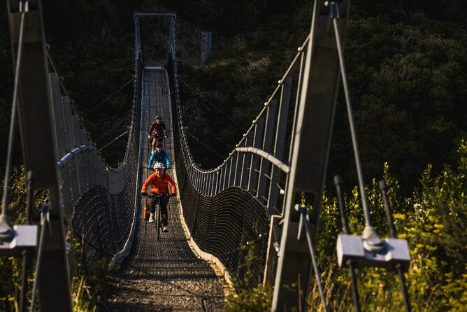 Remutaka Rail Trail Explorer - eBike Cruise Ship Shore Excursion - Port return: finishing the day without rushing your ship