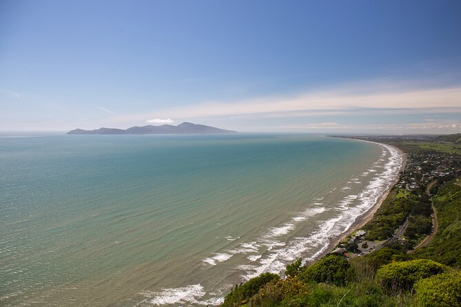 Remutaka Rail Trail Explorer - eBike Cruise Ship Shore Excursion - Who this excursion fits best (and who should reconsider)
