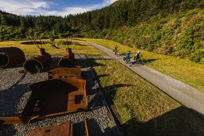 Remutaka Rail Trail Explorer - eBike Cruise Ship Shore Excursion - Price and value for a Wellington port pickup day