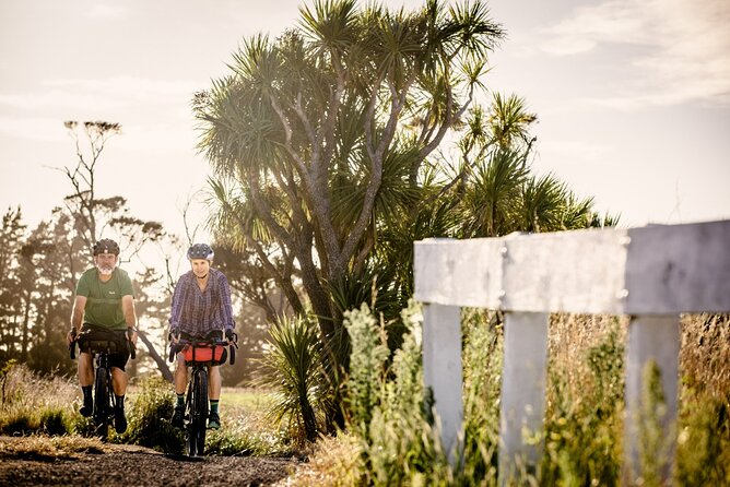 Remutaka Rail Trail- Wellington eBike Cruise Ship Shore Excursion - Who This Remutaka Rail Trail eBike Day Fits Best