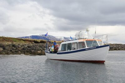 Reykjavik Shore Excursion: Puffin Sightseeing Cruise - The 1-hour cruise rhythm: fast, focused, and not exhausting