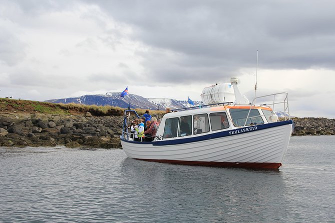 Reykjavik Shore Excursion: Puffin Sightseeing Cruise - The 1-hour cruise rhythm: fast, focused, and not exhausting