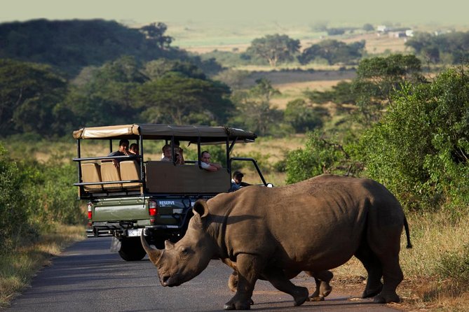 Richards Bay Shore Excursion: Private Small Group Hluhluwe Safari - Key things to know before you go