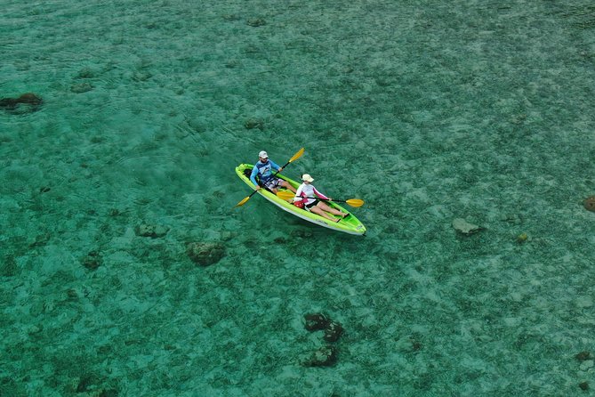 Roatan Shore Excursion: Kayak Harbor Adventure and Reef Snorkel - The switch to snorkeling: gear, timing, and reef realism