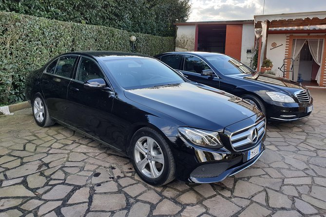 Rome Shore Excursion: Pre-Cruise Private Sightseeing Tour Including Civitavecchia Port Drop-Off - Circo Massimo + Palatine Hill: ancient Rome in two short, smart steps