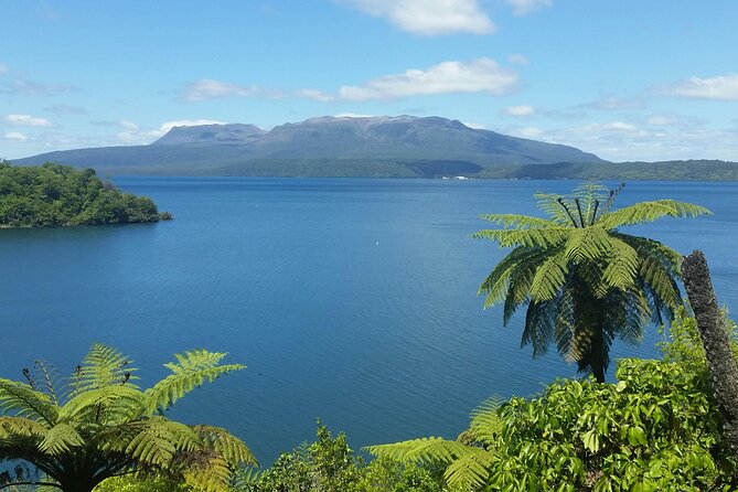 Rotorua Highlights Tour - Getting to Rotorua: Timing From Tauranga (and Why It Matters)