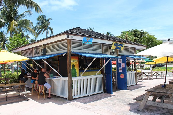 Rums and Reggae Tour (Shore Excursion) - Who This Tour Fits Best (and Who Should Skip It)