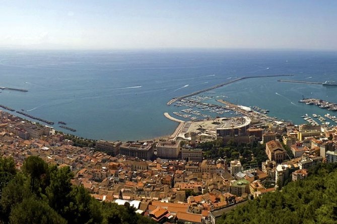 Salerno Shore Excursion: Private Pompeii Tour - A private Pompeii shore tour that respects your limited time