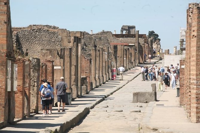 Salerno Shore Excursion: Private Pompeii Tour - Port timing and the worry-free promise: how they handle chaos