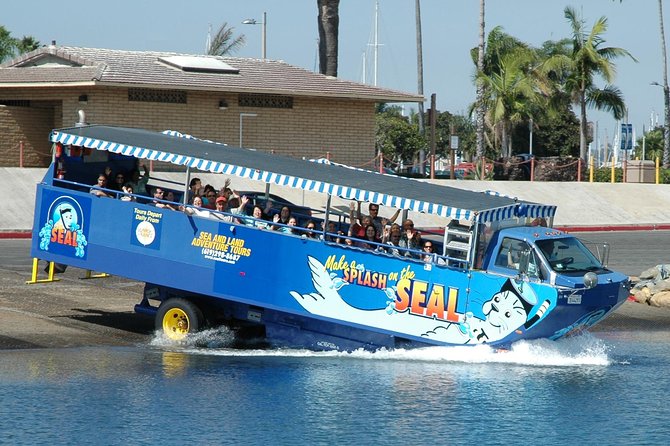 San Diego Shore Excursion: San Diego Seal Tour - Key things that make this tour worth your time