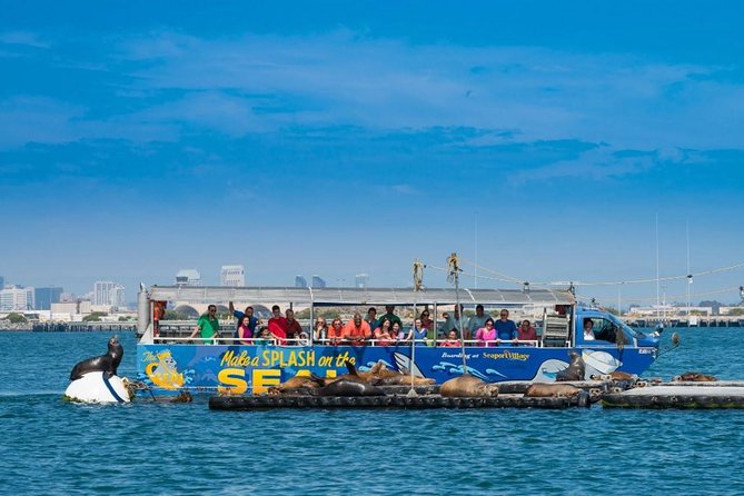 San Diego Shore Excursion: San Diego Seal Tour - Guide Style Makes a Difference (and You’ll Feel It Here)