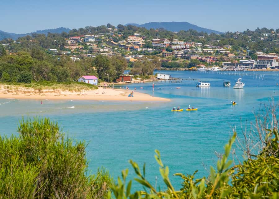 Sapphire Coast: 7h Shore Excursion with Aussie Morning Tea - Wildlife sightings: what’s guaranteed versus what’s a bonus