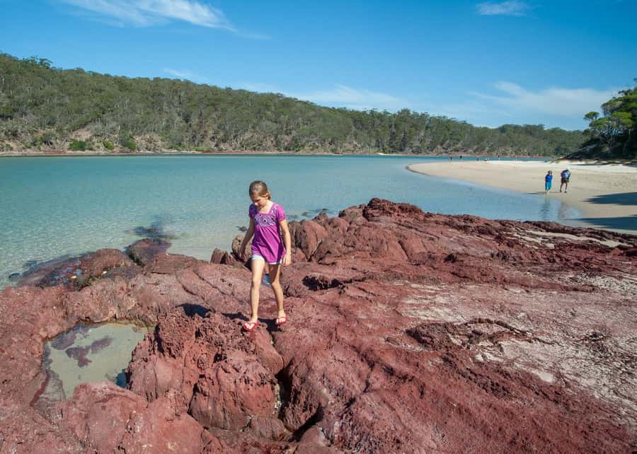 Sapphire Coast: 7h Shore Excursion with Aussie Morning Tea - Eden first: photo stops and an easy start