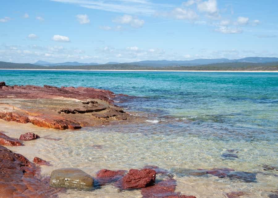 Sapphire Coast: 7h Shore Excursion with Aussie Morning Tea - Pambula Beach: free time plus guided views