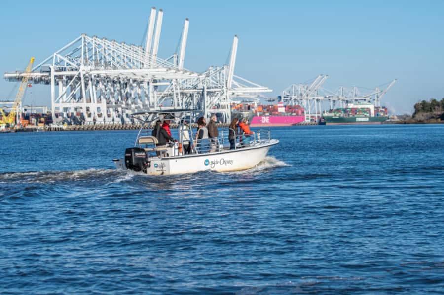 Savannah: 90-Minute Informational Port Tour - First You See It: The Savannah Riverfront Perspective