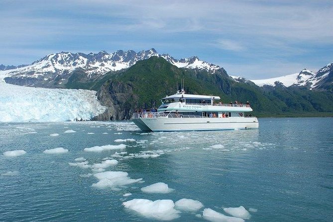 Seward Shore Excursion: Pre- or Post-Cruise Kenai Fjords National Park Tour - Why this Seward Kenai Fjords cruise fits real Alaska expectations