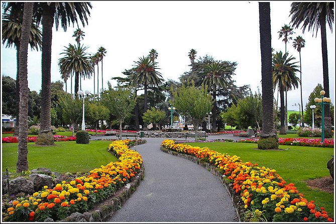 Shore Excursion: 4-Hour Discover Hawkes Bay and Napier Tour - Stop 1: Hastings scenic roads for a fast sense of the region