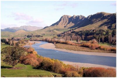 Shore Excursion: 4-Hour Discover Hawkes Bay and Napier Tour - Pickup, vehicle comfort, and how the day runs