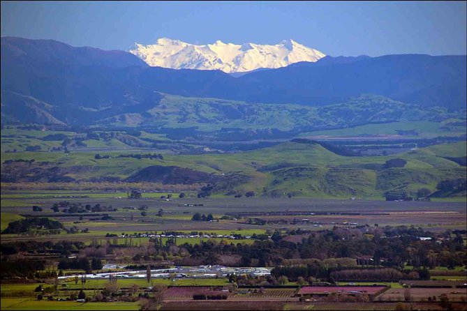 Shore Excursion: 4-Hour Discover Hawkes Bay and Napier Tour - Stop 2: Napier Art Deco streets and the 1931 earthquake story