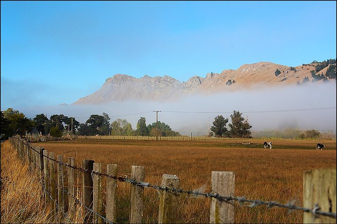 Shore Excursion: 4-Hour Discover Hawkes Bay and Napier Tour - Stop 3: Arataki Honey Visitor Centre and 10+ tastings