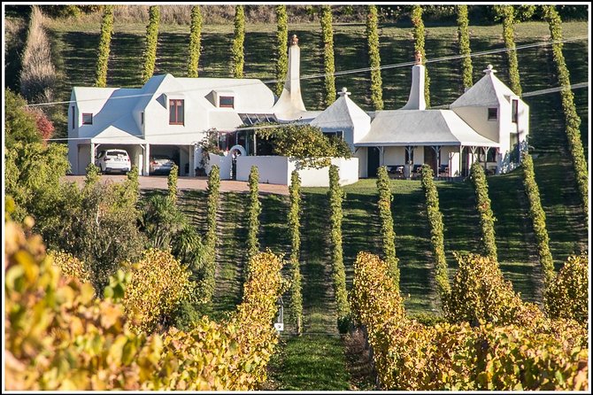 Shore Excursion: 4-Hour Discover Hawkes Bay and Napier Tour - Stop 4: Te Mata Peak’s 360-degree views from 399 meters