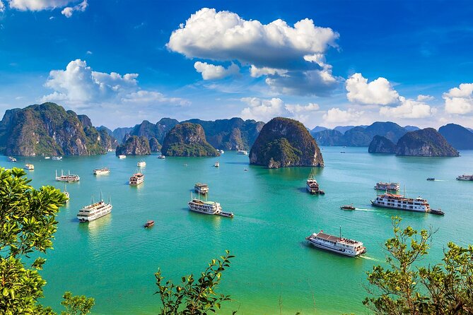 Shore Excursion: Amazing Day Cruise at Ha Long Bay - Price and Value: why $89 feels fair for this mix of stops