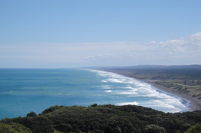 Shore Excursion: Auckland Scenic Full Day Tour - 8 Hours - Cruise-terminal pickup and an efficient 8-hour Auckland route