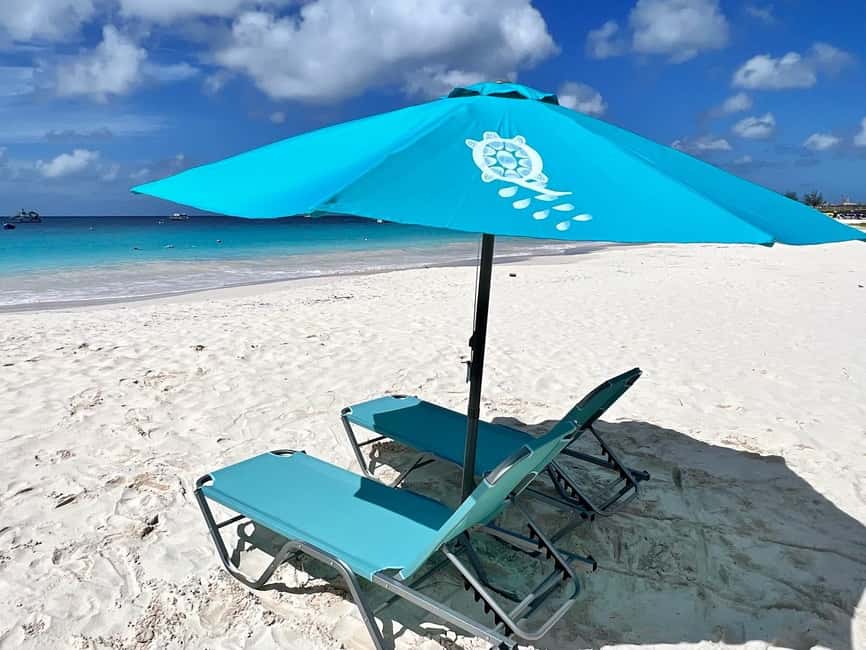 Shore Excursion Barbados Beach Day & Turtle Swim Experience - Key things I’d plan around