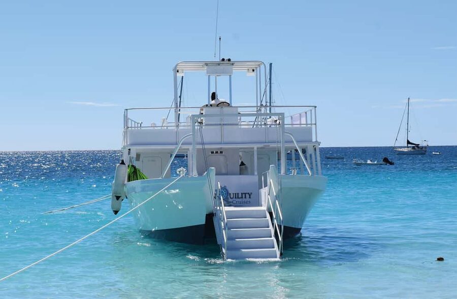 Shore Excursion Barbados Beach Day & Turtle Swim Experience - Why Carlisle Bay fits a cruise-day schedule