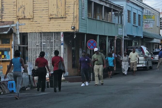 Shore Excursion: City of St John's Sightseeing Tour - Who should book this St. John’s sightseeing loop?